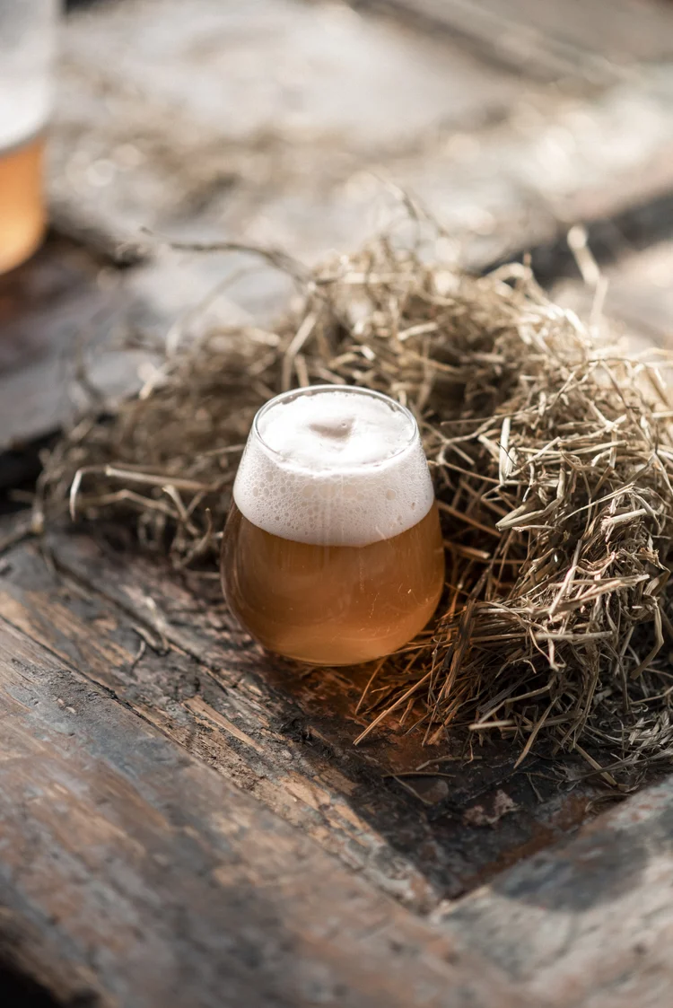 Broche à Foin — Farmhouse Sour Gambrinus